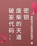 破妄代碼：廢柴的天道密鑰 封面
