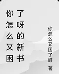 你怎麼又困了呀的新書 封面