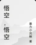 悟空，悟空 封面