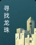 尋找龍珠 封面