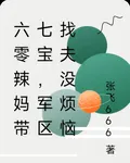 六零辣媽帶七寶，軍區找夫沒煩惱 封面