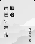 青崖少年踏仙途 封面