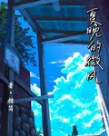 夏晚的微風 封面