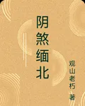 陰煞緬北 封面