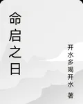 命啓之日 封面