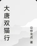 大唐雙貓行 封面