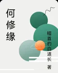 何修緣 封面