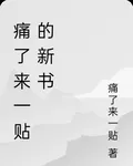 痛了來一貼的新書 封面