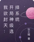 我欲封天：開局神級選擇系統 封面