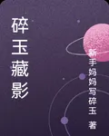 碎玉藏影 封面