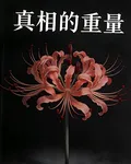真相的重量 封面
