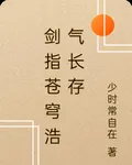 劍指蒼穹浩氣長存 封面