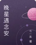 晚星遇念安 封面
