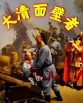 大清面壁者 封面
