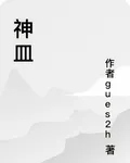 神皿 封面