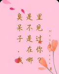 臭呆子，我是不是在哪裏見過你？ 封面