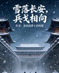 雪落長安，兵戈相向 封面