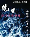 先生，請待在我身邊 封面