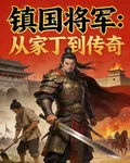 鎮國將軍：從家丁到傳奇 封面