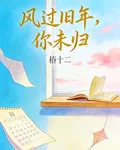風過舊年，你未歸 封面