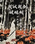 我以我劍破規則 封面