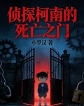 偵探柯南的死亡之門 封面
