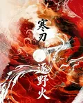寒刃逐野火 封面