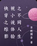 快穿之綜影視小說體驗之不同人生 封面