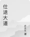 仕途大道 封面