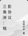 三角洲：暗影協議 封面