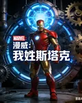 漫威：我姓斯塔克 封面