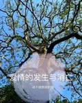 愛情的發生與消亡 封面