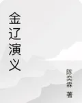大金演義 封面