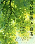 當檸檬撞上盛夏 封面