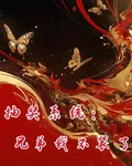 抽獎系統：兄弟我不裝了 封面