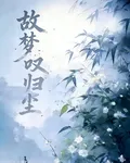 故夢嘆歸塵 封面