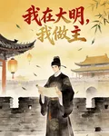我在大明我做主 封面