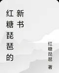 紅糖琵琶的新書 封面
