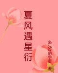 夏風遇星衍 封面