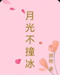 月光不撞冰 封面