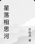 星落相思河 封面