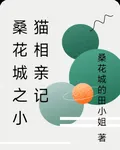 桑花城之小貓相親記 封面