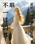 不一樣的蘇聯 封面