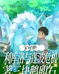 寶可夢：利庫洛與蓮波危機 封面