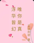 浮華皆幻，唯你是真 封面