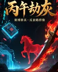 丙午劫灰 封面