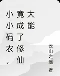小小碼農，竟成了修仙大能 封面