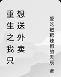 重生之我只想送外賣 封面