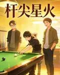 杆尖星火 封面