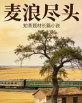 麥浪盡頭 封面